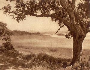 CONSTANTINE ET COTE OUEST 0349 LE LAC MELAH AUX ENVIRONS DE LA CALLE